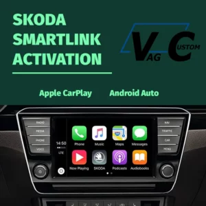 SkodaSmartlinkActivation